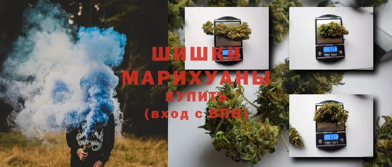 Бошки марихуана Ganja  где купить наркотик  Коряжма 